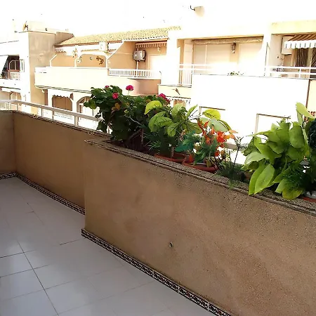 Alegria Id63 * Torrevieja