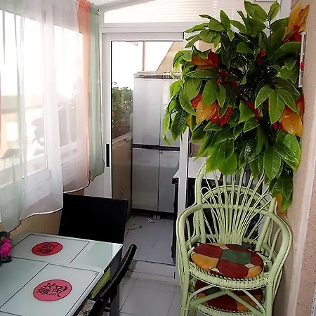 Apartment Alegria Id63 *
